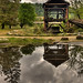 Mark Sutter Photo 35