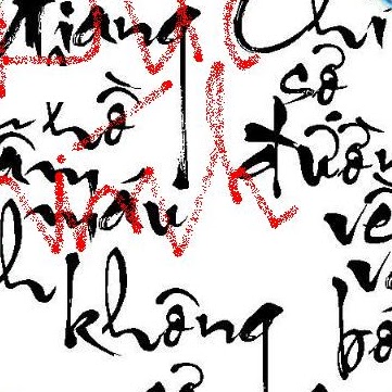 Chinh Bui Photo 3