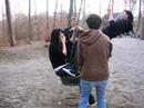 Martin Pulli Photo 8