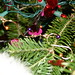 Debbie Garland Photo 34