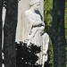 Robert Keck Photo 9