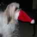 Brenda Christman Photo 30