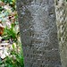 Cornelia Spencer Photo 12
