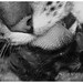 Betty Mulder Photo 25