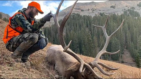 Adam Larimer Photo 16