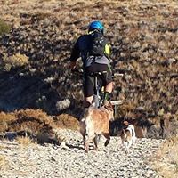 David Dumond Photo 7