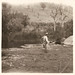 Bert Smith Photo 46