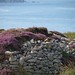 Heather Barrow Photo 47