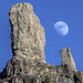 Roque Luna Photo 22