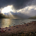 Ray Strom Photo 14