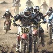 Sandy Holman Photo 6