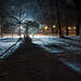 Carol Alley Photo 26