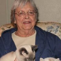 Sue Thomas Photo 3