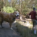 Otis Casey Photo 15