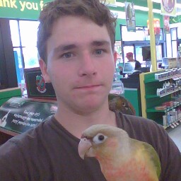 Steven Harrelson Photo 8