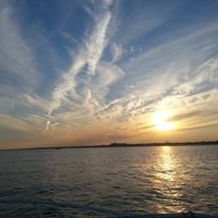 Tom Mills Photo 5