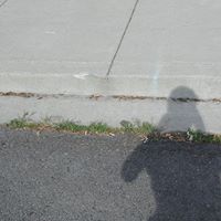 Michelle Eckles Photo 1
