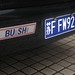 Asia Bush Photo 17