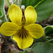 Thomas Nuttall Photo 28