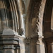 Scott Morrell Photo 41