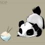 Kim Trinh Photo 26