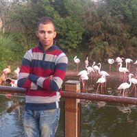 Youssef El Photo 4