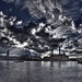 Ralph Power Photo 20