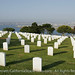Peter Lomas Photo 34