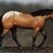 Lee Meiner Photo 12