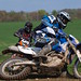 Neil Cavanagh Photo 30
