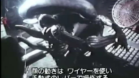 Scott Giger Photo 11