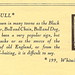 William Young Photo 7