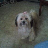 Cindy Bowles Photo 5