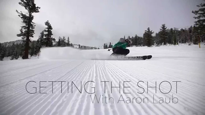 Aaron Laub Photo 13