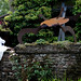 Richard Kettlewell Photo 25