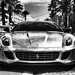 Carlton Hamann Photo 16