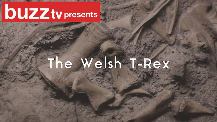Rex Welsh Photo 10