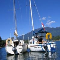 Debra Storey Photo 2