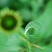 Timothy Miller Photo 32