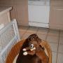 Deborah Warner Photo 20