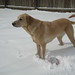 Cody Winter Photo 32