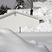 David Duprey Photo 33
