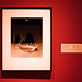 Dorothea Hamilton Photo 15