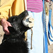 Naomi Coats Photo 15