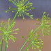 Carla Green Photo 47