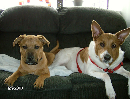 Sarah Catlett Photo 11