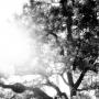 Alicia Stoddard Photo 9