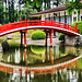 Asia Bush Photo 16