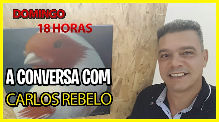 Carlos Rebelo Photo 30