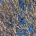 April Branch Photo 38